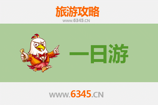 湛江一日游攻略：滨海风情与美食探索